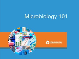 Microbiology 101
 