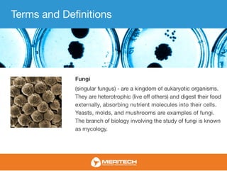 Terms and Definitions
Fungi
(singular fungus) - are a kingdom of eukaryotic organisms.
They are heterotrophic (live off others) and digest their food
externally, absorbing nutrient molecules into their cells.
Yeasts, molds, and mushrooms are examples of fungi.
The branch of biology involving the study of fungi is known
as mycology.
 