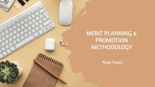 Merit Planning & Promotion Methodology