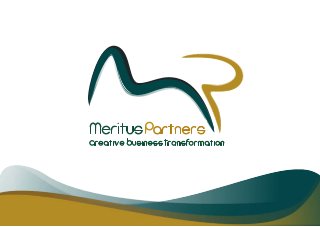 Meritus Partners - Riovolution! - Company Profile (English)