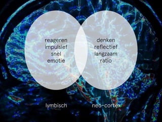 reageren 
impulsief 
snel 
emotie 
denken 
reflectief 
langzaam 
ratio 
lymbisch neo-cortex 
 