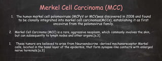 Merkel Cell Carcinoma (MCC)
1. The human markel cell polomaviruse (MCPyV or MCV)was discovered in 2008 and found
to be clonally integrated into markel cell carcinomas(MCCs), establishing it as first
oncovirus from the polomavirus family.
2. Merkel Cell Carcinoma (MCC) is a rare, aggressive neoplasm, which commonly involves the skin,
but can subsequently to lymph nodes and other organs.[a.3]
1. These tumors are believed to arise from Neuroendocrine -derived mechanoreceptor Merkel
cells, located in the basal layer of the epidermis, that form synapse-like contacts with enlarged
nerve terminals.[a.3]
 