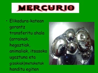 Elikadura-katean gorantz transferitu ahala (arrainak, hegaztiak, animaliak, itsasoko ugaztuna eta  gizakiak)metaketak  handitu egiten dira. 