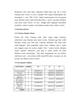 Berdasarkan pada tabel diatas, didapatkan jumlah lamun yang ada di Pantai
Ketapang yaitu Enhalus acoroides berjumlah 1060 dengan keanekaragaman dan
keseragaman 1 serta VMR 176,48. Tingkat keanekaragaman dan keseragaman
dapat dikatakan cukup rendah dikarenakan hanya 1 spesies yang dapat ditemukan
yaitu spesies lamun Enhalus Acoroides. Sehingga faktor lingkungan berkontribusi
menentukan struktur komunitas dan kepadatan populasi lamun di lokasi tersebut.
3.3 Ekosistem Bentos
3.3.1 Sebaran Populasi Bentos
Kondisi fisik Pantai Ketapang masih cukup terjaga dengan banyaknya
makrobentos yang ditemukan pada pantai tersebut. Meskipun juga tidak sedikit
ditemukan sampah yang tidak pada tempatnya diakibatkan oleh oknum tidak
peduli lingkungan. Pada pengambilan sampel bentos, dilakukan pada 2 tempat
yaitu pinggiran pantai dan perairan dangkal. Pada 2 tempat tersebut, ditemukan
banyak organisme makrobentos yang hidup di tempat tersebut dan dapat
dikatakan merata persebarannya. Yang dapat mempengaruhi ada atau tidaknya
makrobentos pada suatu perairan adalah suhu,pH,DO,cahaya, kecepatan arus dan
tercemar atau tidaknya perairan tersebut.
3.3.2 Keragaman Populasi
Jenis Bentos Jumlah H’ E’ D
Notomyotida sp 1 0,088992134 0,02381 0,00056689
Penaeus 8 0,315852967 0,084505 0,03628118
Zenarchopterus
Buffonis
9 0,330095366 0,088316 0,04591837
Ophiuroidea
brevispinum
1 0,088992134 0,02381 0,00056689
Mymonippe
Harwicki
17 0,366089444 0,097946 0,1638322
Marcia
Marmorata
6 0,277987164 0,074374 0,02040816
Jumlah 42 1,468009209 0,392761
 