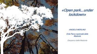 ANGELO MERLINO
Ente Parco nazionale delle
Madonie
Geoparco delle Madonie
«Open park….under
lockdown»
 