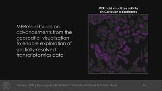 Jean Fan, PhD | Zhuang Lab | Bio-IT World | Data Visualization & Exploration Tools 16
MERmaid visualizes mRNAs
on Cartesia...