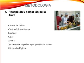 METODOLOGIA
1.- Recepción y selección de la
fruta
• Control de calidad
• Características mínimas
• Madurez
• Color
• Aroma.
• Se descarta aquellas que presentan daños
físicos o biológicos
 