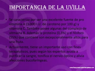 Mermelada de uvilla