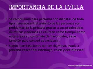 Mermelada de uvilla