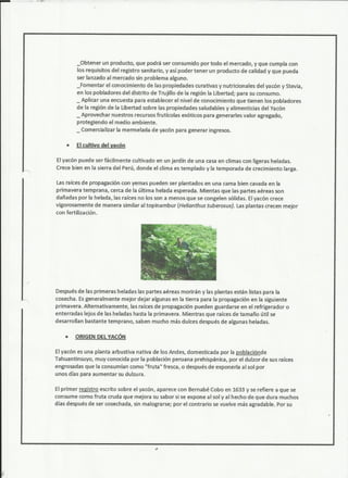 Mermelada de yacon
