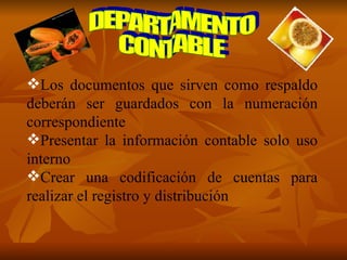 DEPARTAMENTO CONTABLE Los documentos que sirven como respaldo deberán ser guardados con la numeración correspondiente Presentar la información contable solo uso interno Crear una codificación de cuentas para realizar el registro y distribución 