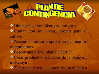 PLAN DE CONTINGENCIA Obtener los más efectivos antivirus  Contar con un vivero propio para el cultivo Asegurar nuestra empresa en las mejores aseguradoras Poseer una micro planta eléctrica Crear productos derivados de la papaya y maracuyá Tener una reserva económica en el banco 