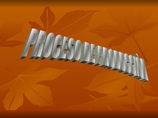 PROCESO DE PRODUCCIÒN 