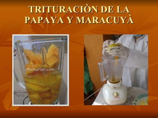 TRITURACIÒN DE LA PAPAYA Y MARACUYÀ 