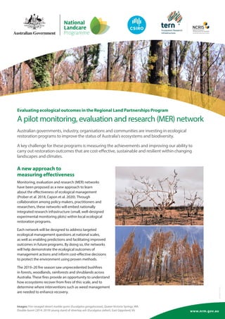 www.nrm.gov.au
BIO695.1020
A new approach to
measuring effectiveness
Monitoring, evaluation and research (MER) networks
have been proposed as a new approach to learn
about the effectiveness of ecological management
(Prober et al. 2018, Capon et al. 2020). Through
collaboration among policy-makers, practitioners and
researchers, these networks will embed nationally
integrated research infrastructure (small, well-designed
experimental monitoring plots) within local ecological
restoration programs.
Each network will be designed to address targeted
ecological management questions at national scales,
as well as enabling predictions and facilitating improved
outcomes in future programs. By doing so, the networks
will help demonstrate the ecological outcomes of
management actions and inform cost-effective decisions
to protect the environment using proven methods.
The 2019–20 fire season saw unprecedented bushfires
in forests, woodlands, rainforests and shrublands across
Australia. These fires provide an opportunity to understand
how ecosystems recover from fires of this scale, and to
determine where interventions such as weed management
are needed to enhance recovery.
Evaluating ecological outcomes in the Regional Land Partnerships Program
A pilot monitoring, evaluation and research (MER) network
Australian governments, industry, organisations and communities are investing in ecological
restoration programs to improve the status of Australia’s ecosystems and biodiversity.
A key challenge for these programs is measuring the achievements and improving our ability to
carry out restoration outcomes that are cost-effective, sustainable and resilient within changing
landscapes and climates.
Images: Fire-ravaged desert marble gums (Eucalyptus gongylocarpa), Queen Victoria Springs, WA.
Double-burnt (2014, 2019) young stand of silvertop ash (Eucalyptus sieberi), East Gippsland, Vic
 