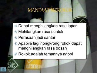 Faedah Rokok Merokok dan utis | PPTX