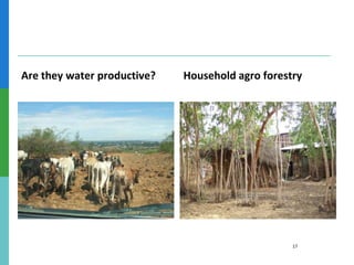 Ethiopian Water and Land Management programs over 35 years: Lessons learned and to be learned