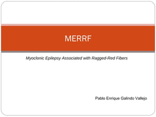 MERRF Myoclonic Epilepsy Associated with Ragged-Red Fibers Pablo Enrique Galindo Vallejo 