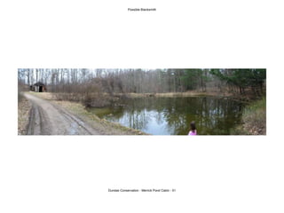 Possible Blacksmith Dundas Conservation - Merrick Pond Cabin - 01 