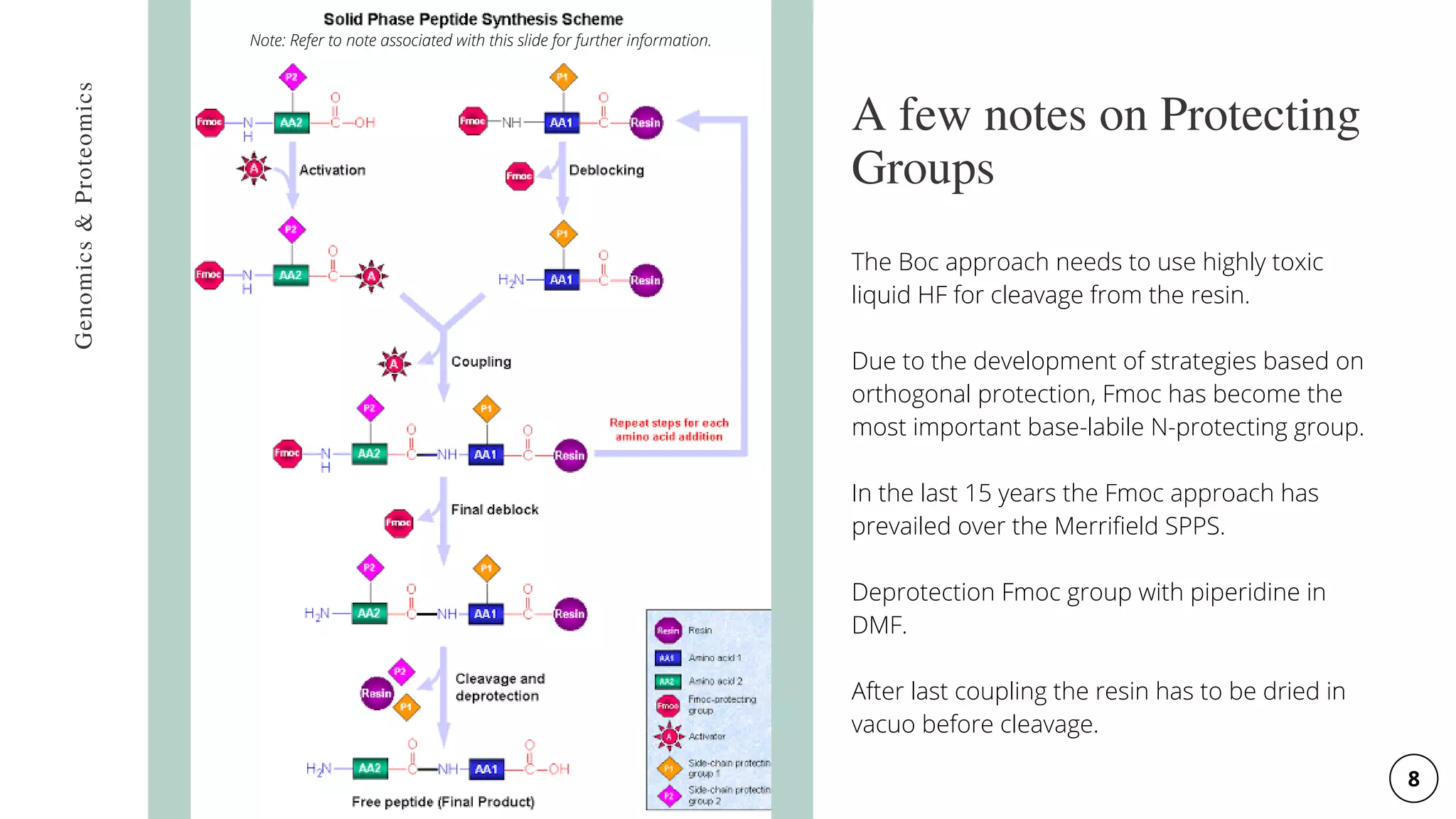 A few notes on Protecting
Groups
Genomics
&
Proteomics
The Boc approach needs to use highly toxic
liquid HF for cleavage from the resin.
Due to the development of strategies based on
orthogonal protection, Fmoc has become the
most important base-labile N-protecting group.
In the last 15 years the Fmoc approach has
prevailed over the Merrifield SPPS.
Deprotection Fmoc group with piperidine in
DMF.
After last coupling the resin has to be dried in
vacuo before cleavage.
8
Note: Refer to note associated with this slide for further information.
 