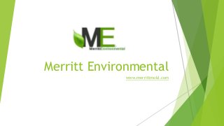 Merritt Environmental
www.merrittmold.com
 