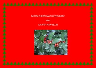 MERRY CHRISTMAS TO EVERYBODY 
AND 
A HAPPY NEW YEAR! 
