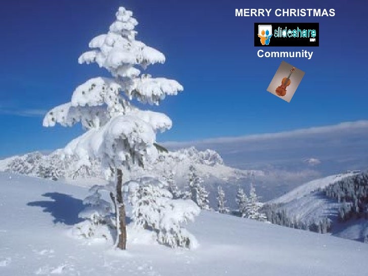 MERRY CHRISTMAS Community 