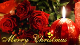 Merry Christmas 2013