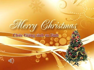 Merry Christmas 2011 and Happy New Year 2012