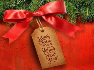 Merry christmas and happy new year 2011.
