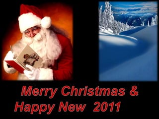Merry Christmas & Happy New  2011Year 