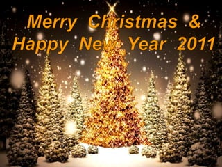 Merry Christmas & HappyNew Year2011 