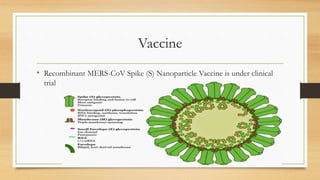 Vaccine
• Recombinant MERS-CoV Spike (S) Nanoparticle Vaccine is under clinical
trial
 