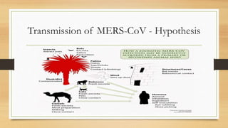 Transmission of MERS-CoV - Hypothesis
 
