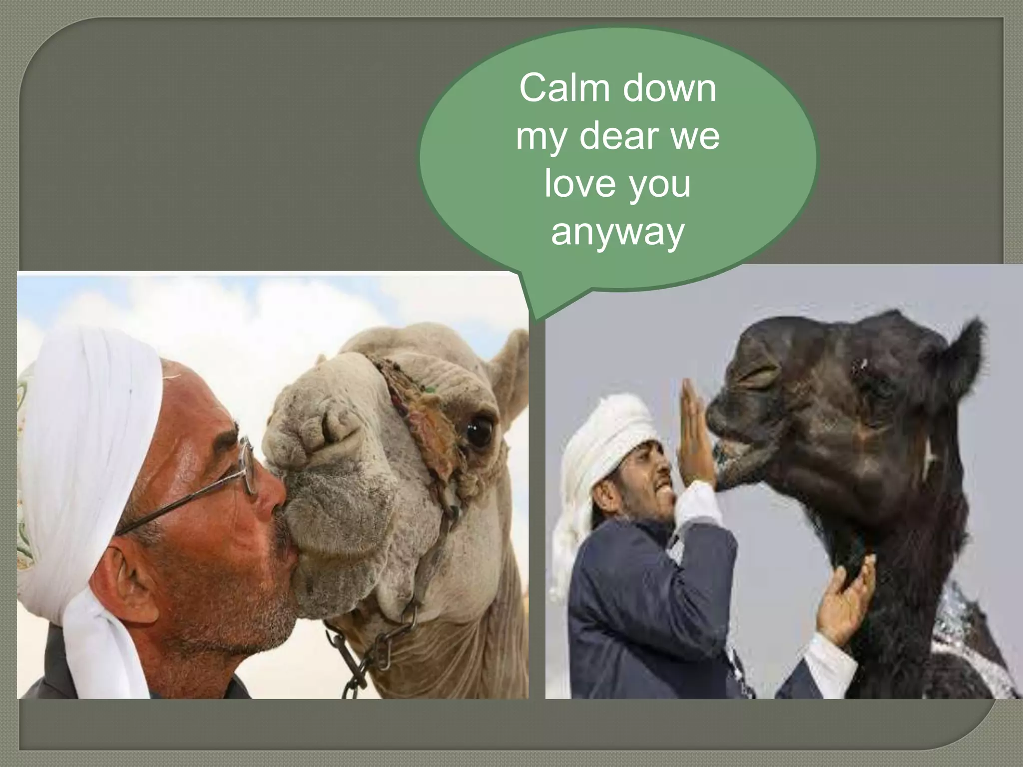 Calm down
my dear we
love you
anyway
 