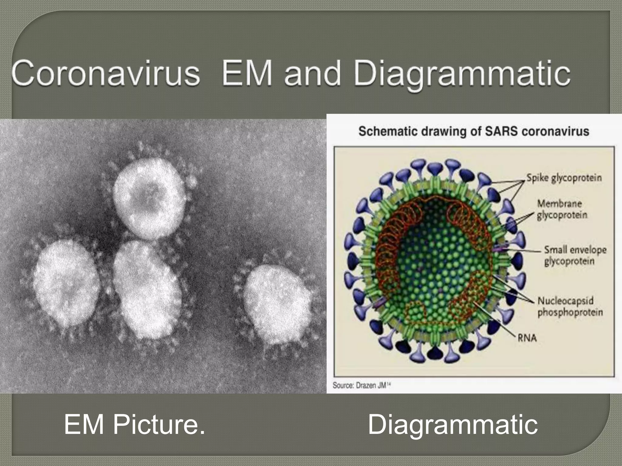 EM Picture. Diagrammatic
 
