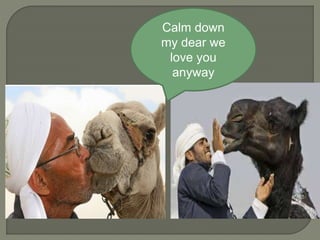 Calm down
my dear we
love you
anyway
 