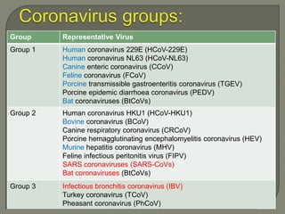 Group Representative Virus
Group 1 Human coronavirus 229E (HCoV-229E)
Human coronavirus NL63 (HCoV-NL63)
Canine enteric coronavirus (CCoV)
Feline coronavirus (FCoV)
Porcine transmissible gastroenteritis coronavirus (TGEV)
Porcine epidemic diarrhoea coronavirus (PEDV)
Bat coronaviruses (BtCoVs)
Group 2 Human coronavirus HKU1 (HCoV-HKU1)
Bovine coronavirus (BCoV)
Canine respiratory coronavirus (CRCoV)
Porcine hemagglutinating encephalomyelitis coronavirus (HEV)
Murine hepatitis coronavirus (MHV)
Feline infectious peritonitis virus (FIPV)
SARS coronaviruses (SARS-CoVs)
Bat coronaviruses (BtCoVs)
Group 3 Infectious bronchitis coronavirus (IBV)
Turkey coronavirus (TCoV)
Pheasant coronavirus (PhCoV)
 