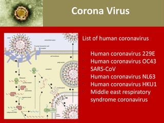 List of human coronavirus
§
Human coronavirus 229E
§
Human coronavirus OC43
§
SARS-CoV
§
Human coronavirus NL63
§
Human coronavirus HKU1
§
Middle east respiratory
syndrome coronavirus
Corona Virus
 