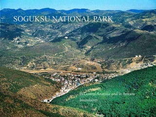 SOGUKSU NATIONAL PARK 
In Central Anatolia and in Ankara 
boundaires. 
 