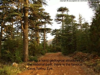 Having a karst geological structures in 
the national park, there is the famous 
Cave Spring Eye. 
 