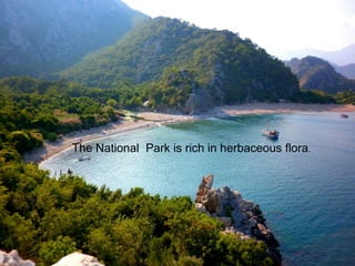 The National Park is rich in herbaceous flora. 
 