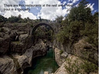There are fish restaurants at the rest area; fresh 
trout is a specialty. 
 