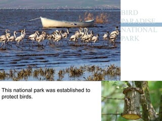 BIRD 
PARADISE 
NATIONAL 
PARK 
This national park was established to 
protect birds. 
 