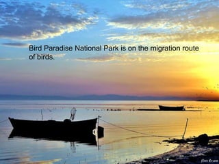 Bird Paradise National Park is on the migration route 
of birds. 
 