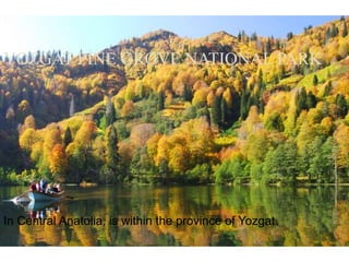 YOZGAT PİNE GROVE NATIONAL PARK 
In Central Anatolia, is within the province of Yozgat. 
 