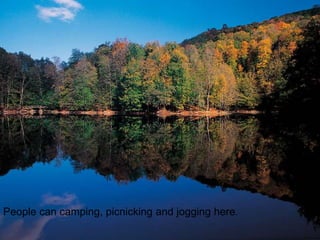 People can camping, picnicking and jogging here. 
 