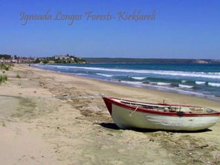 Igneada Longos Forests-Kirklareli 
 