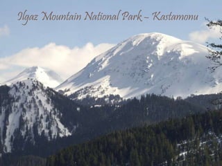 Ilgaz Mountain National Park – Kastamonu 
 