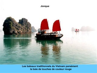 Les bateaux traditionnels du Vietnam parsèment  la baie de touches de couleur rouge Jonque 